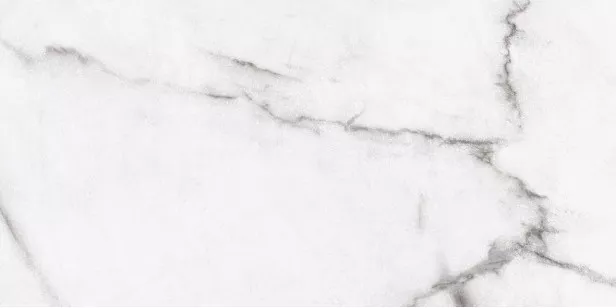 Керамогранит Ariana Epoque White Statuario Ret 30x60 PF60004978