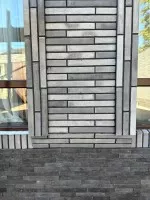 Лонг (Lifebrick)