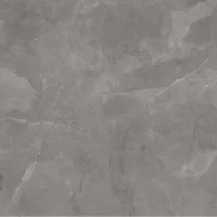 Керамогранит Ariana Storm Grey Ret 80x80 PF60003997 Керамогранит Ariana Storm Grey Ret 80x80 PF60003997