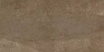 Керамогранит Ceramiche Piemme Bits and Pieces Peat Brown Nat Ret 45x90 01183 Керамогранит Ceramiche Piemme Bits and Pieces Peat Brown Nat Ret 45x90 01183
