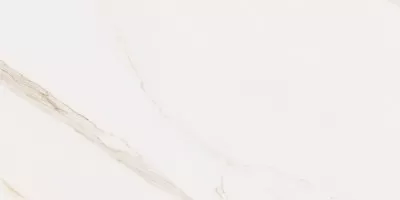 Керамогранит Cerdomus Omnia Calacatta Levigato 30x60 88962