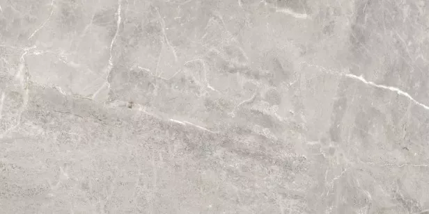 Керамогранит ProGRES Ceramica Модерн матовый 60x120 NR0173