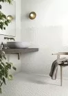 Botanica (Mutina)