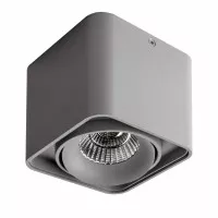 Светильник Lightstar Monocco точечный накладной декоративный со встроенными светодиодами серый 052119