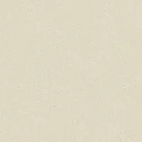 Керамогранит Baldocer Matter Ivory Natural Rect 120x120 Керамогранит Baldocer Matter Ivory Natural Rect 120x120