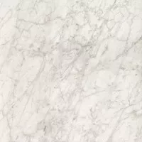Керамогранит Casalgrande Padana Marmoker Bardiglio Bianco 118x118 2950023