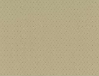 Обои Domus Parati Ornamenta 76941 0.53x10.05 виниловые