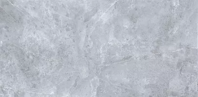 Керамогранит Steppe Ceramics Pulpis Grey неполированный 60x120 PU006012N