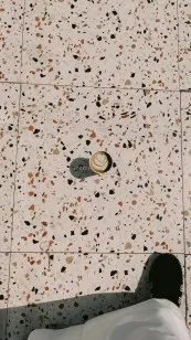 Керамогранит ProGRES Ceramica Evia Terrazzo Серый Глазурованный Матовый 60x60