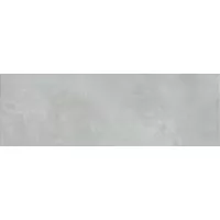 Плитка Ascot Ceramiche Evolution Grey Plane 33.3x100 настенная EVO3304 Плитка Ascot Ceramiche Evolution Grey Plane 33.3x100 настенная EVO3304