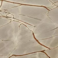 Керамогранит Casa Dolce Casa Nature Mood Rainforest Comfort 6mm R 120x120 774875
