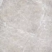Керамогранит Italon Elite Silver Grey 45x45 610010000535 Керамогранит Italon Elite Silver Grey 45x45 610010000535