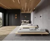 Betonica Grey Pro (Laparet)