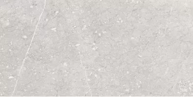 Керамогранит Undefasa Pietra Di Gre Gris 59.9x120.1 Керамогранит Undefasa Pietra Di Gre Gris 59.9x120.1