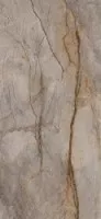 Керамогранит Apavisa Porcelanico Wild Forest Grey Polished Mix 119.3x260