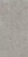Керамогранит Kerama Marazzi Про Лаймстоун АТ серый натуральный обрезной 119.5x238.5 DD590600R Керамогранит Kerama Marazzi Про Лаймстоун АТ серый натуральный обрезной 119.5x238.5 DD590600R