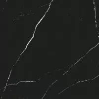 Керамогранит Porcelanosa Liem Black 59.6x59.6 100296516