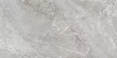 Керамогранит NewTrend Wild Light 60x120 D120259M Керамогранит NewTrend Wild Light 60x120 D120259M