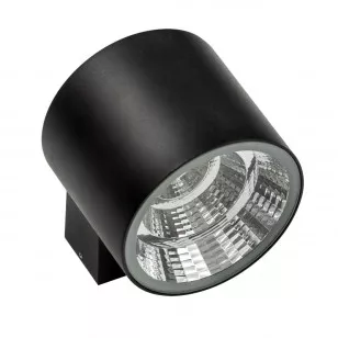 Светильник светодиодный уличный настенный Lightstar Paro 370672