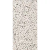 Керамогранит Wifi Ceramics Terrazzone Almond Honed 60x120 FP12613