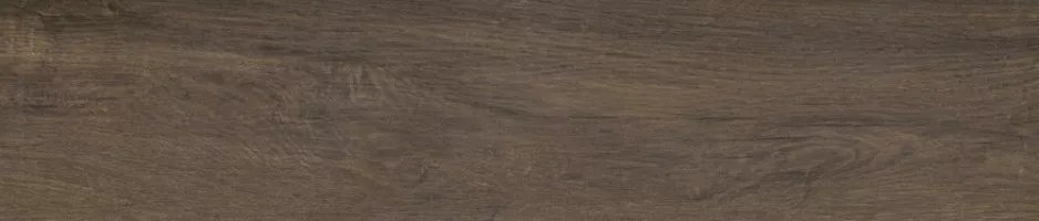 Керамогранит Paradyz Maloe Brown Rekt. Mat. 21.5x98.5 Керамогранит Paradyz Maloe Brown Rekt. Mat. 21.5x98.5