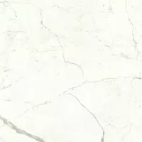 Керамогранит Atlas Concorde Italy Marvel Shine Calacatta Prestigio Matt 120x120 A4Q5