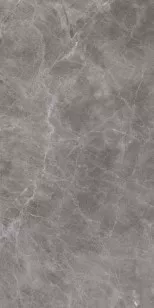 Керамогранит Casalgrande Padana Marmoker Jolie Lucido 90x180 10490205