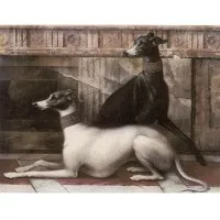 Декор Petracers Grand Elegance Noblesse B Levrieri 15x20 Декор Petracers Grand Elegance Noblesse B Levrieri 15x20