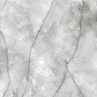 Керамогранит Orient Ceramic Passion Ice Матовый 60x60 524 Керамогранит Orient Ceramic Passion Ice Матовый 60x60 524