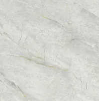 Керамогранит CSG Matt Porcelain Grey 60x60 Z66N08 Керамогранит CSG Matt Porcelain Grey 60x60 Z66N08