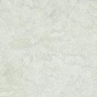 Обои BN International Van Gogh 17172 0.53x10.05 виниловые