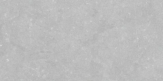 Керамогранит Living Ceramics Noon Grey Antislip 30x60 LV11637