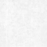 Керамогранит Goldis Tile Rio White Rectified 59.4x59.4 A0YB AA0A Керамогранит Goldis Tile Rio White Rectified 59.4x59.4 A0YB AA0A
