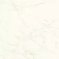 Керамогранит Atlas Concorde Italy Marvel Shine Calacatta Delicato Matt 120x120 A4Q4
