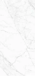 Керамогранит Simpolo Ceramics Carrara Fogg Pg 59.8x119.8
