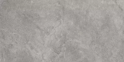 Керамогранит Ariana Mineral Greige Ret 120x280 PF60008799 Керамогранит Ariana Mineral Greige Ret 120x280 PF60008799