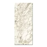 Керамогранит Caesar Anima Ever Luxury Arabesque Luc Rt 120x278 AFA1