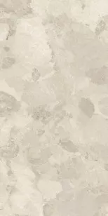Керамогранит Imola Ceramica Crew Bitter 60x120 CR BIT 12B RM
