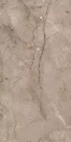 Керамогранит Modern Tile Wild Forest Muka Glossy 60x120