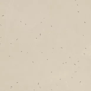 Керамогранит Mutina Primavera Bianco Matt 120x120 BOA01