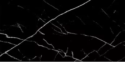 Керамогранит Art and Natura Ceramica Marmo Nero Marquina Black Panther 60x120