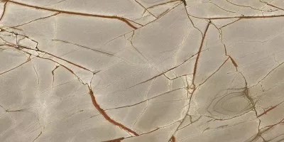 Керамогранит Casa Dolce Casa Nature Mood Rainforest Glossy 6mm R 120x280 774717