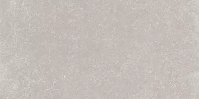 Керамогранит PF60001743 Gent Ash Nat. 20X40 ABK Ceramiche
