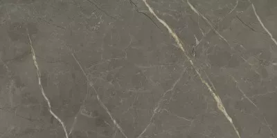 Плитка Laparet York Коричневый 30x60 настенная 00-00-5-18-01-15-4137