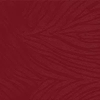 Плитка Alma Ceramica Irma 41.8x41.8 напольная TFU03RMA500