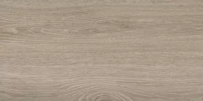 Керамогранит Lasselsberger Ceramics Винтаж Вуд натуральный 30x60 6260-0019 Керамогранит Lasselsberger Ceramics Винтаж Вуд натуральный 30x60 6260-0019