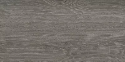 Керамогранит Lasselsberger Ceramics Винтаж Вуд темно-серый 30x60 6260-0020 Керамогранит Lasselsberger Ceramics Винтаж Вуд темно-серый 30x60 6260-0020