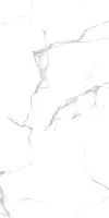Керамогранит Asia Pacific Ceramic Statuario Venato Silver Glossy Polished 60x120 Керамогранит Asia Pacific Ceramic Statuario Venato Silver Glossy Polished 60x120