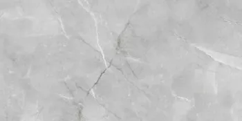 Керамогранит Absolut Gres Armani Silver полированный 60x120 AB 1142G