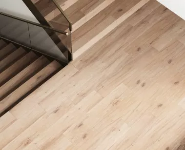 Керамогранит Buono Ceramica Forest Nature Roble Matt 60x120 F4510M